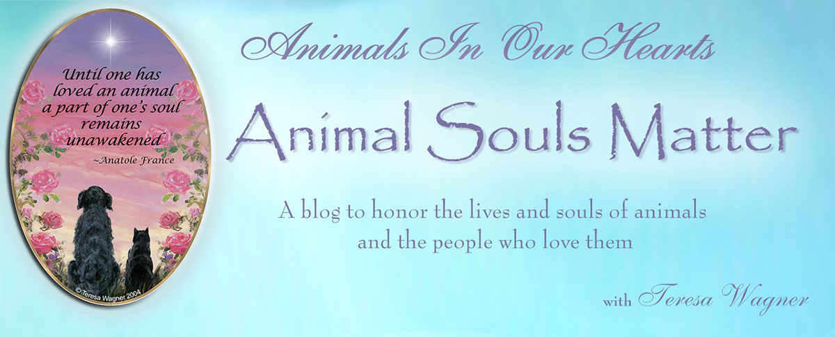 Animal Souls Matter